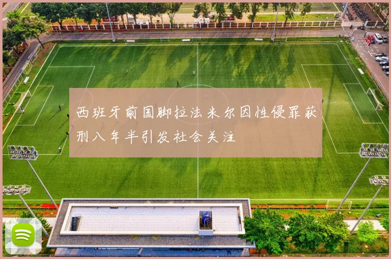 西班牙前国脚拉法米尔因性侵罪获刑八年半引发社会关注
